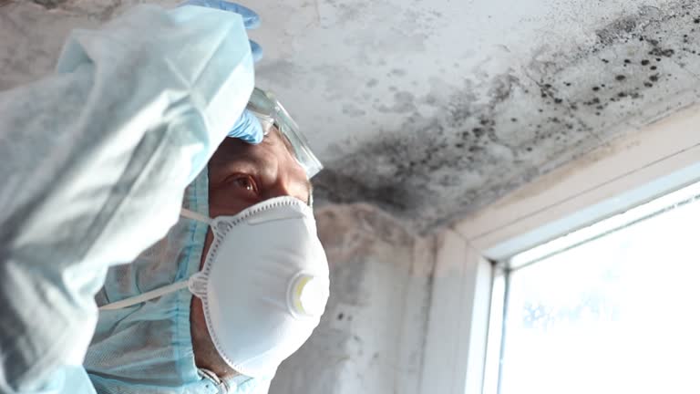 Mold Documentation for Insurance Claims in California, MO